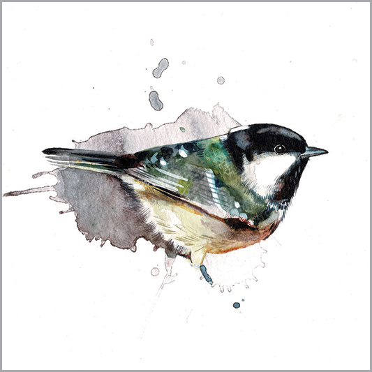 LA05 COAL TIT