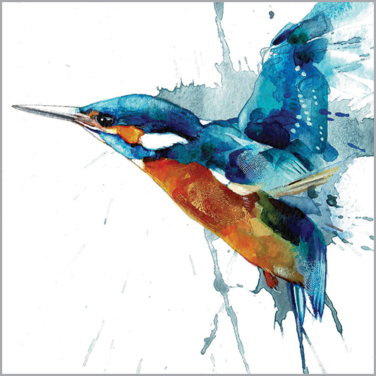 LA06 KINGFISHER