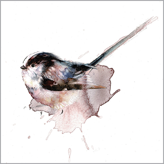 LA11 LONG TAILED TIT