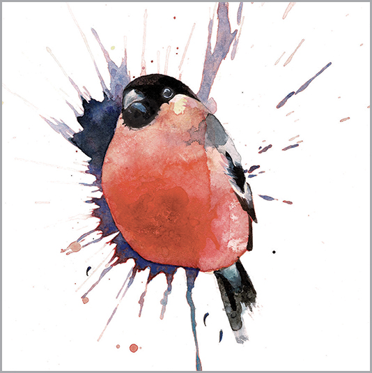 LA12 BULLFINCH