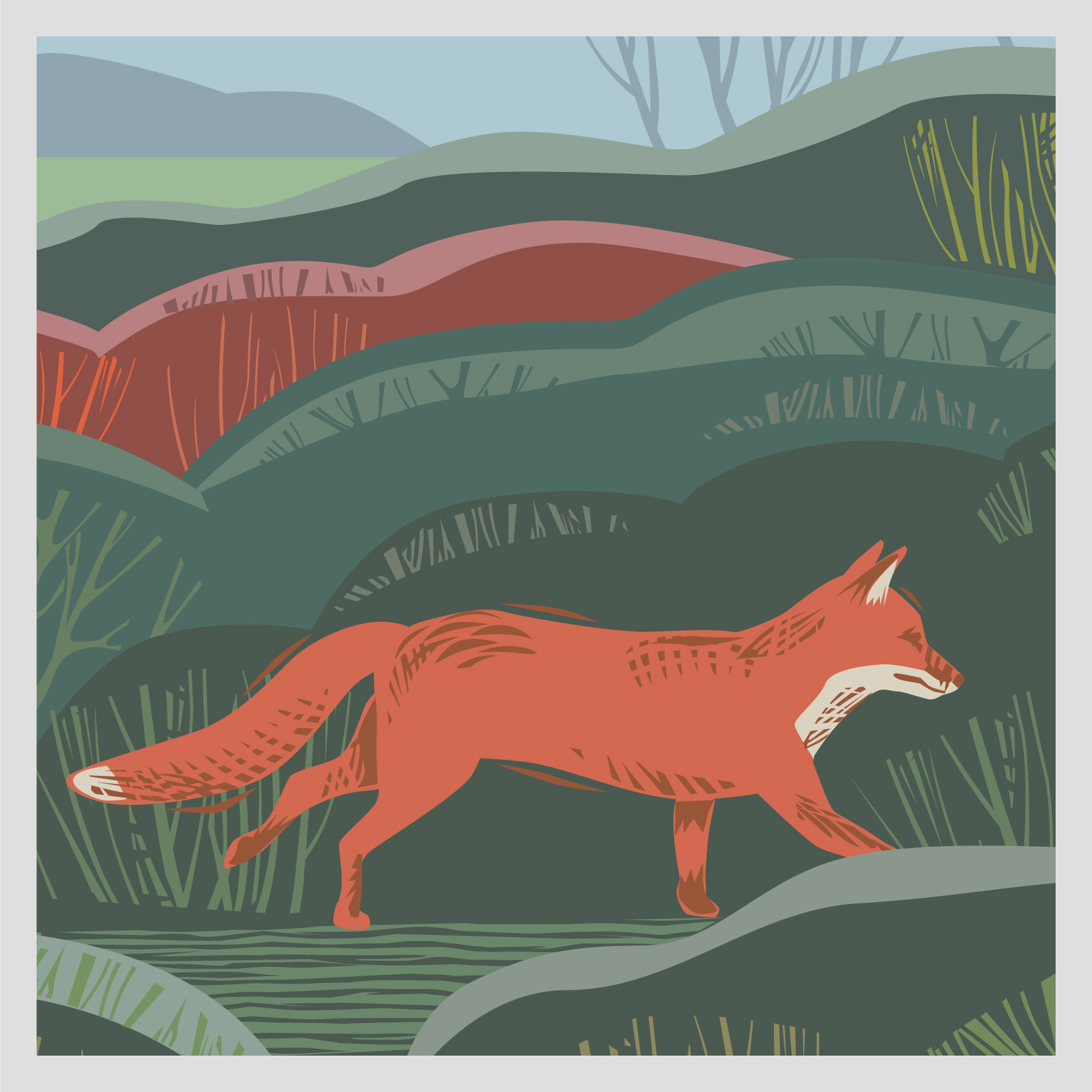 CC01 FOX