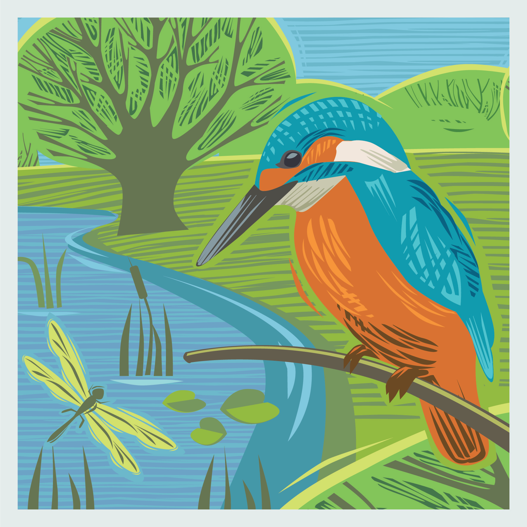 CC02 KINGFISHER
