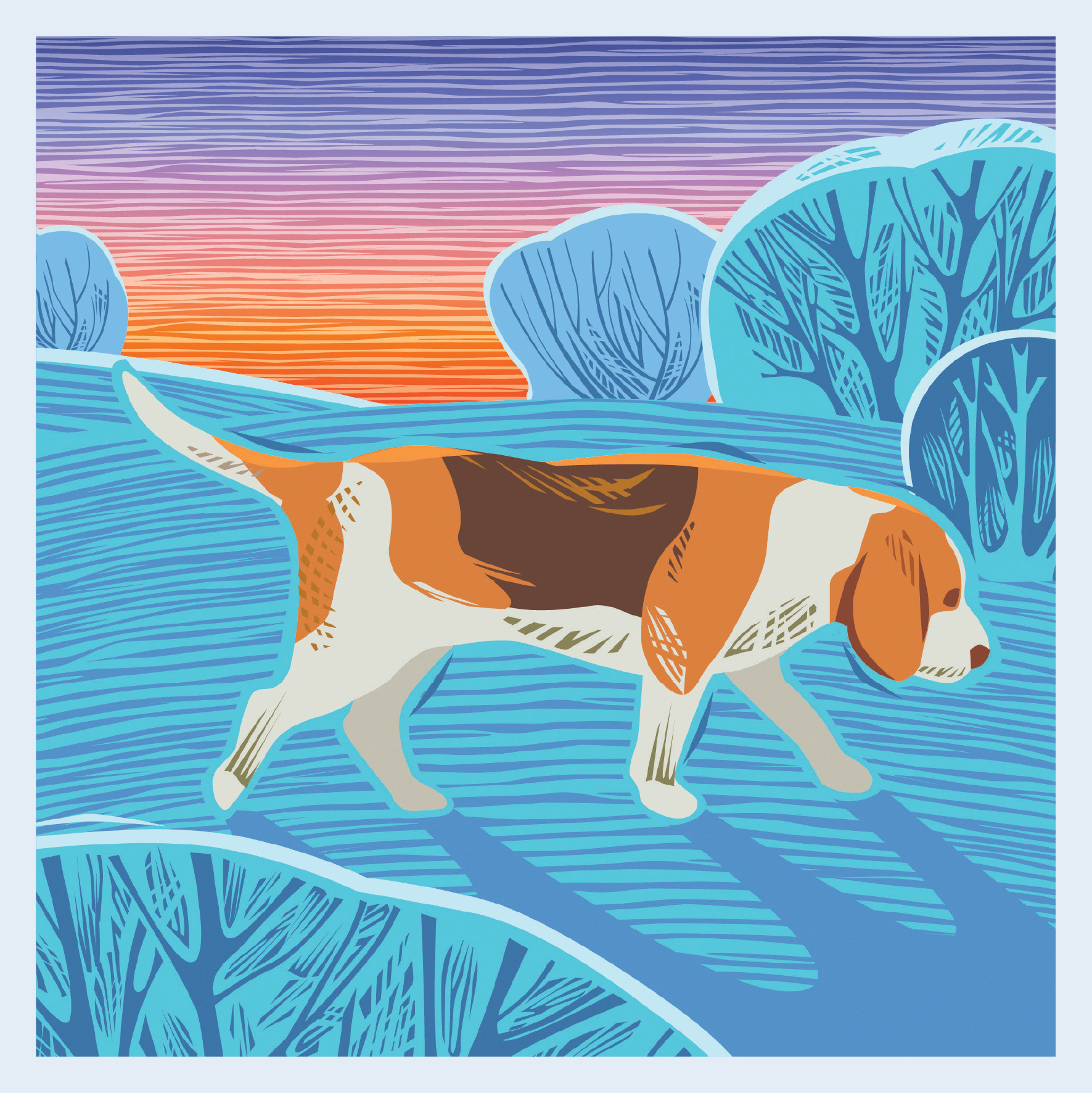 CC03 DOG