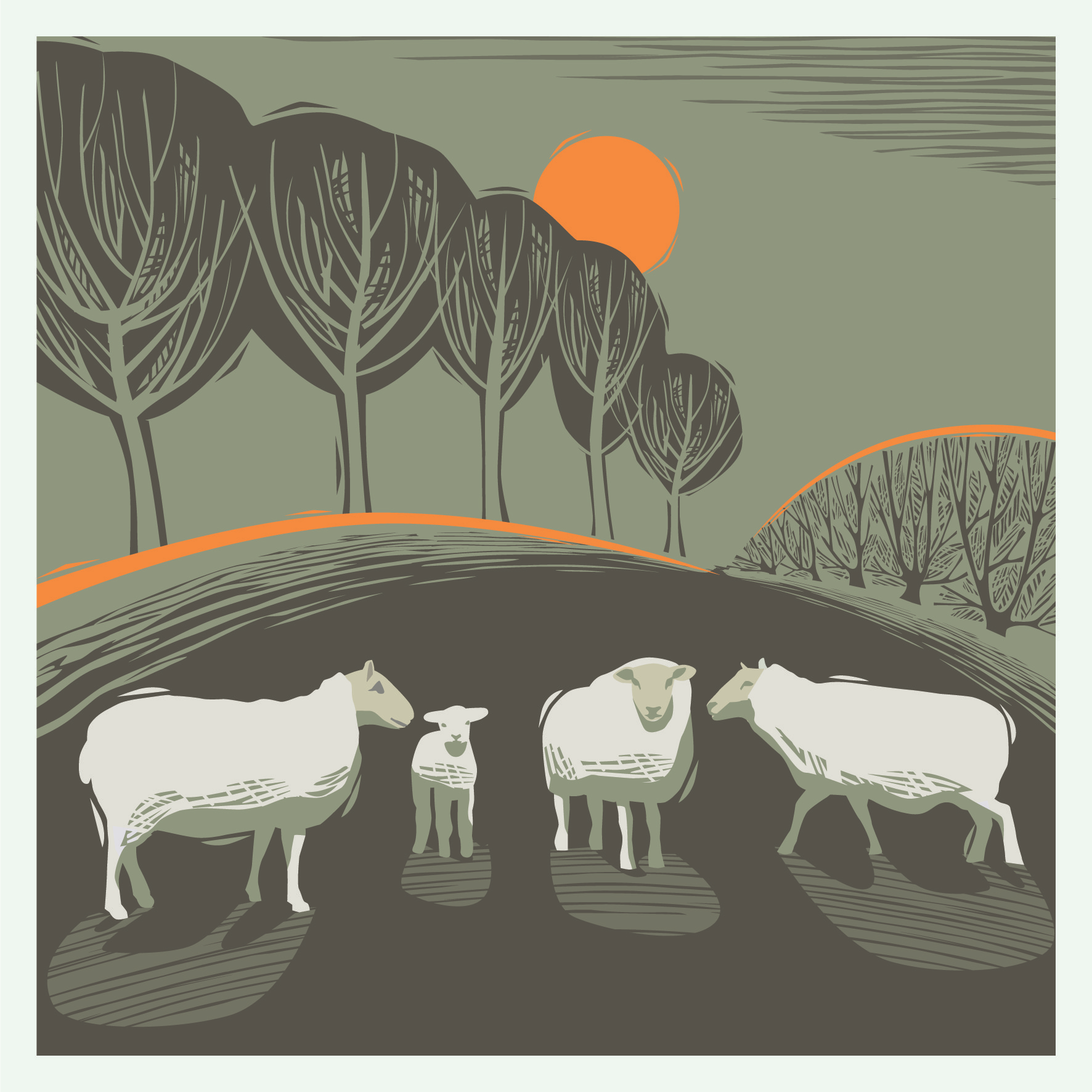 CC05 SHEEP