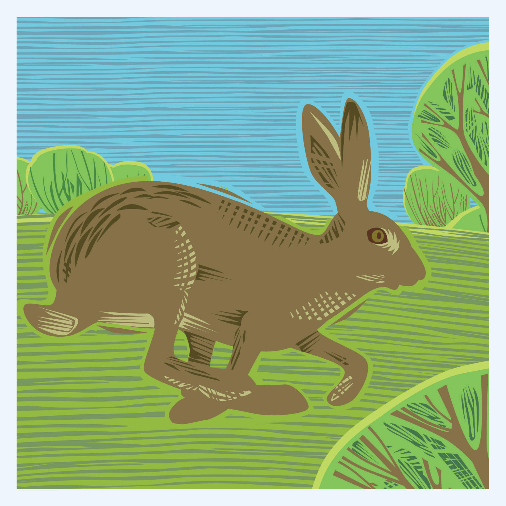 CC06 HARE