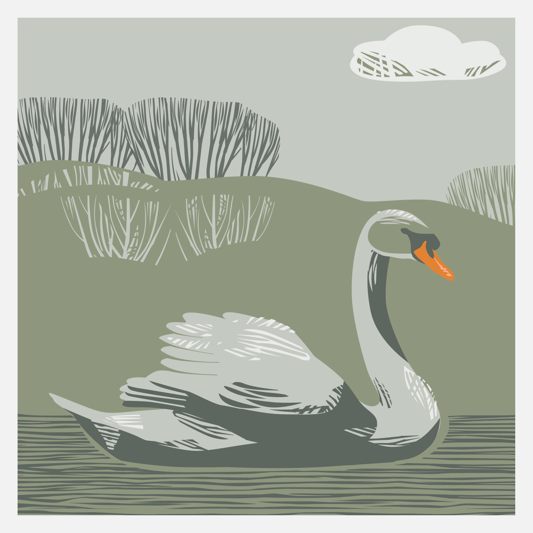 CC12 SWAN