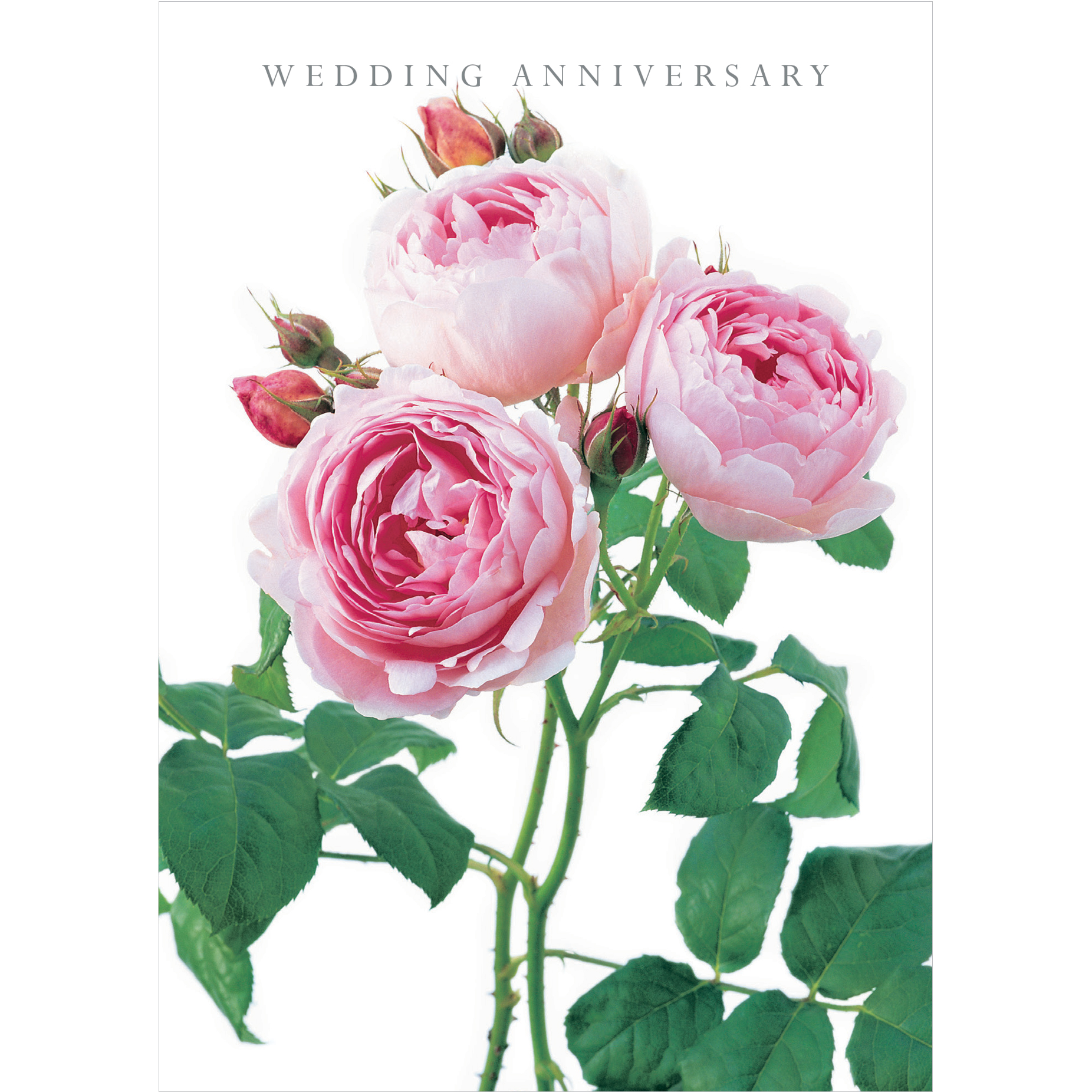 DA32 WEDDING  ANNIVERSARY