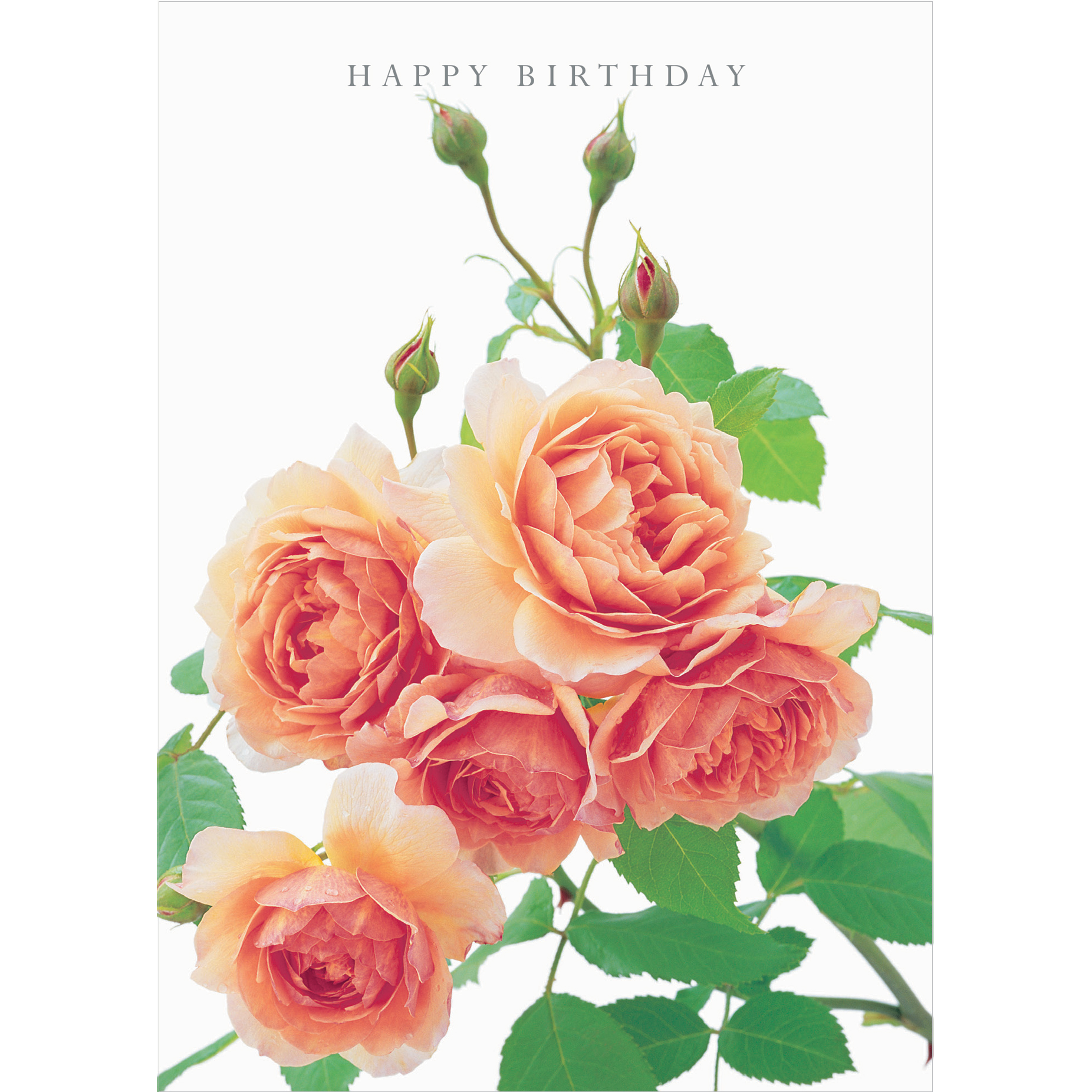 DA37 HAPPY BIRTHDAY