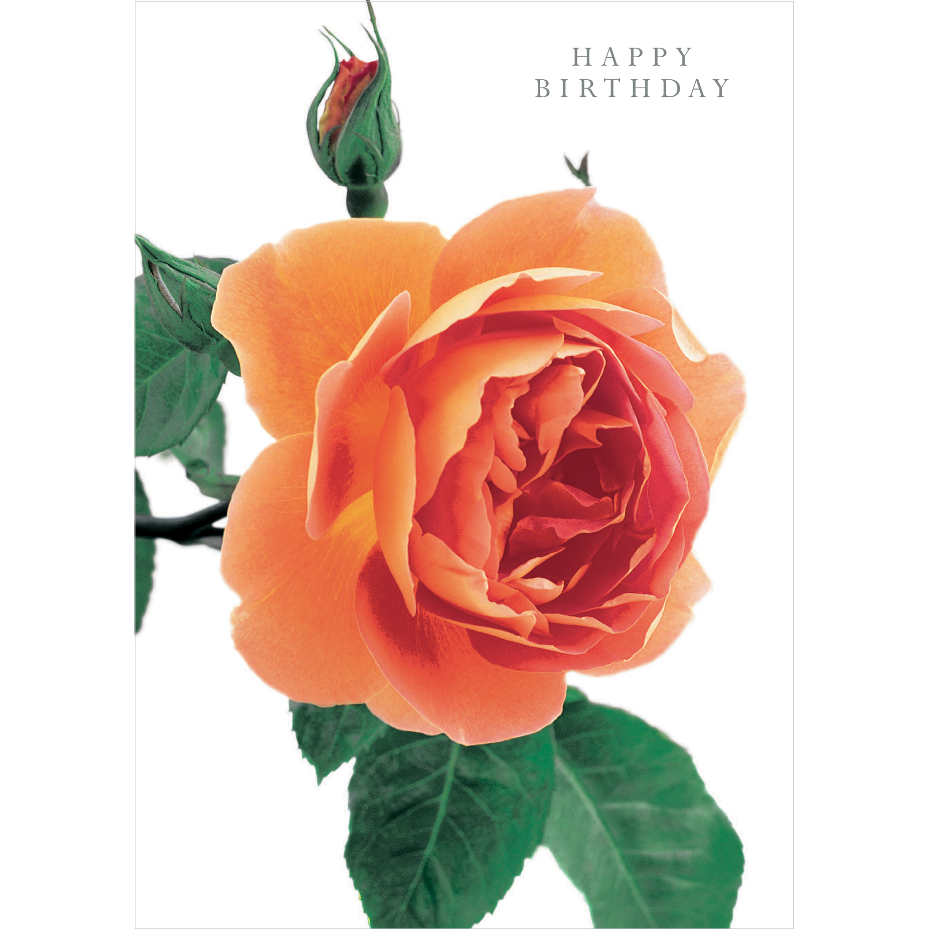 DA38 HAPPY BIRTHDAY