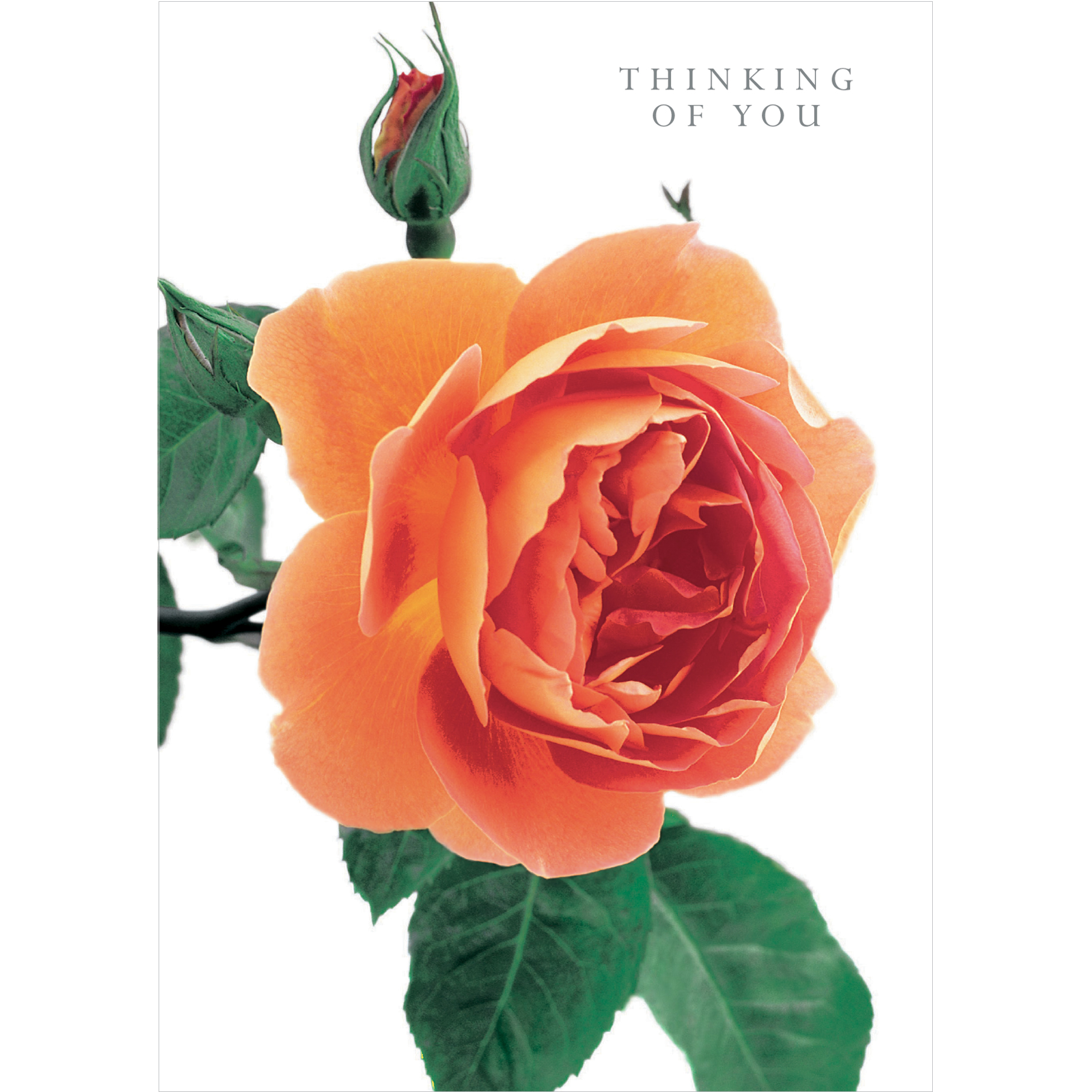 DA39 THINKING OF YOU