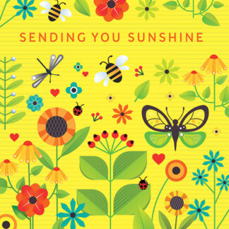 NR12 SENDING YOU SUNSHINE