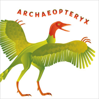 D04 ARCHAEOPTERYX