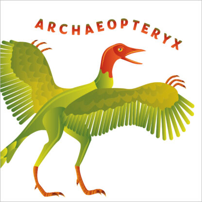 D04 ARCHAEOPTERYX