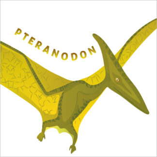 D06 PTERANODON