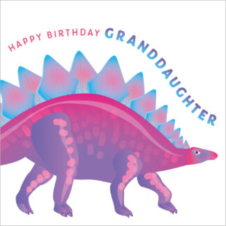 D21 HAPPY BIRTHDAY GRANDDAUGHTER