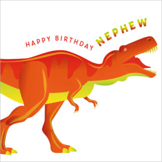 D24 HAPPY BIRTHDAY NEPHEW