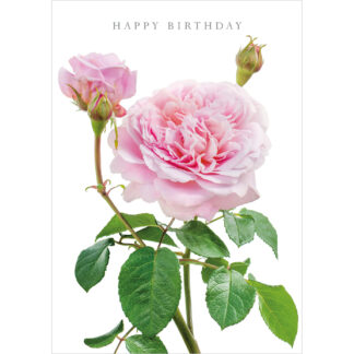 DA41 HAPPY BIRTHDAY