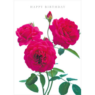 DA42 HAPPY BIRTHDAY