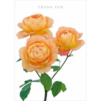DA50 THANK YOU
