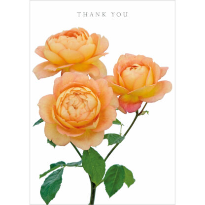 DA50 THANK YOU