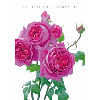 DA52 WITH DEEPEST SYMPATHY