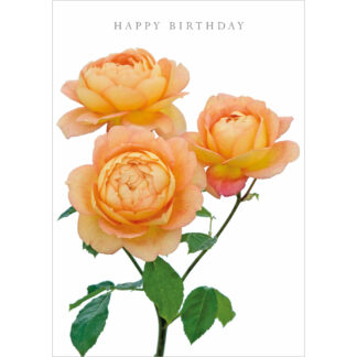 DA54 HAPPY BIRTHDAY